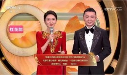 元梦之星最新爆料视频,揭秘神秘项目背后的秘密与未来展望