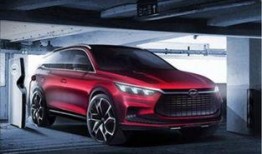 比亚迪高管爆料最新,新能源汽车产业未来发展趋势与比亚迪战略布局